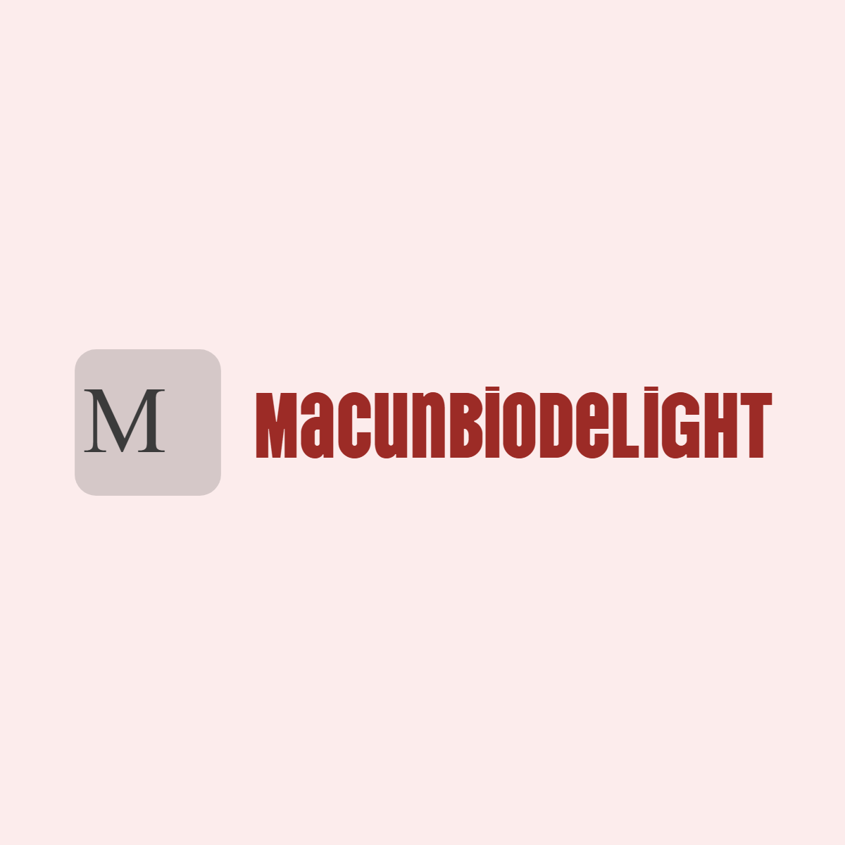 Macun store